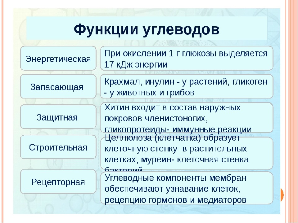 Функции углеводов в организме