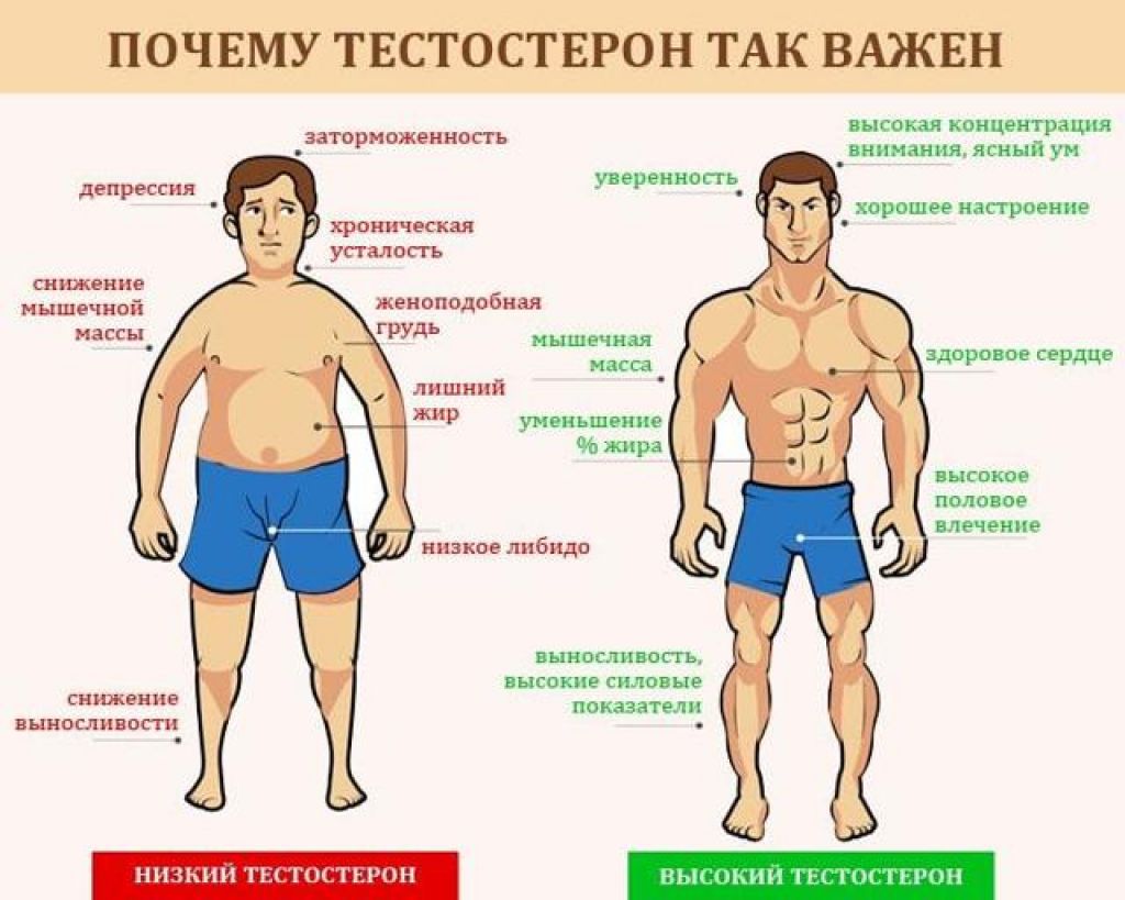 10 продуктов, снижающих тестостерон у мужчин