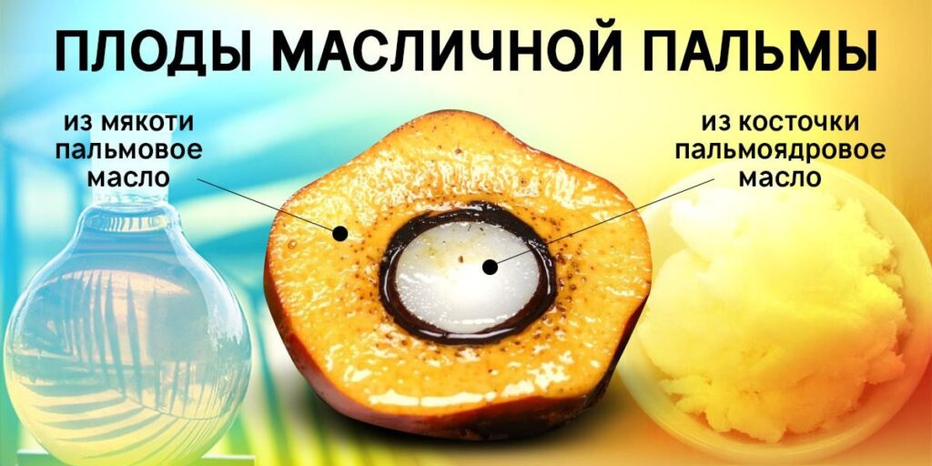 Назову очевидные признаки того, что в масле, сыре и другой молочной продукции есть пальмовое масло