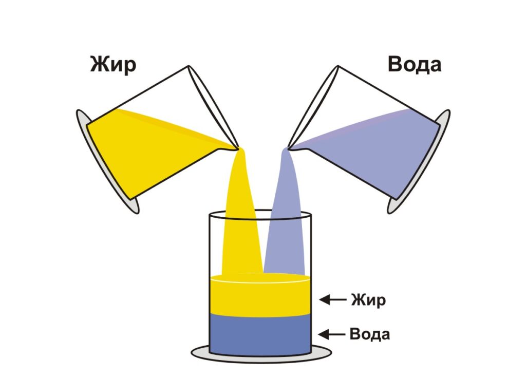 Вода и жир – враги на век