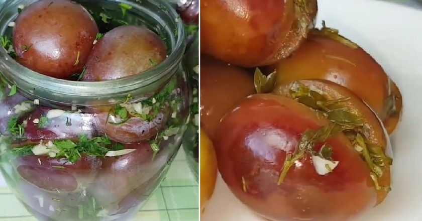 Банка маринованных слив с пряностями съедается быстрее, чем соленые огурцы! Пара рецептов на заметку.