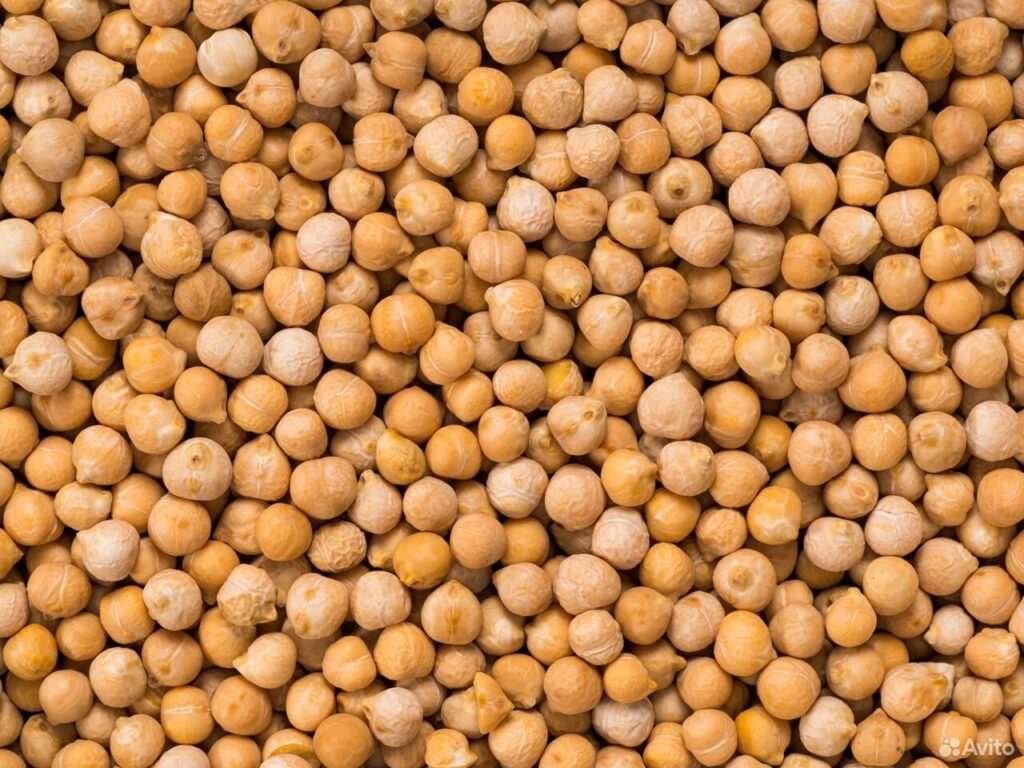 Чем полезен нут и что из него приготовить: 10 самых классных рецептов