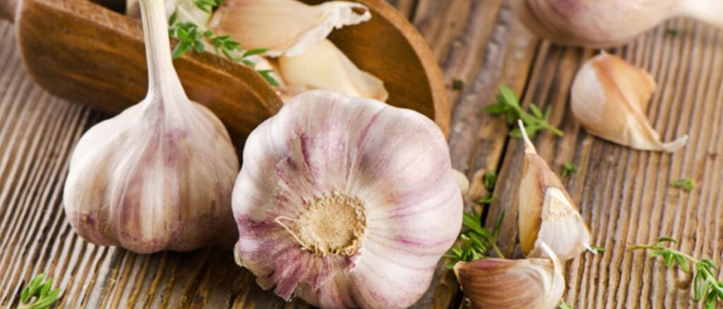 ТОП-5 самых полезных продуктов с пребиотиками, которые нужны для здоровья