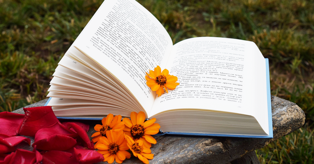 Куда девать книги: практические советы по наведению порядка в библиотеке