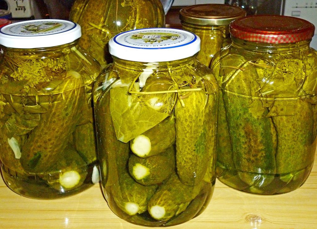 После этих огурцов — магазинные кажутся пресной подделкой ✍Сохрани рецепт, чтобы приготовить!