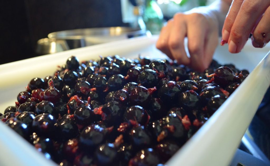 Необычный способ приготовления ягодного желе: запекаем вместо варки!